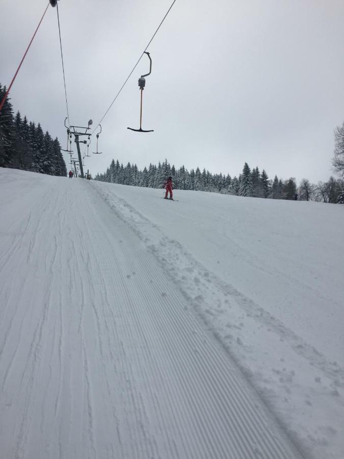 Penzion U Rybnika Mariánská Kültér fotó